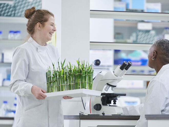 Cultivo moderno de plantas