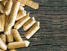 Pellets de combustible