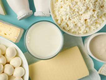 Productos lácteos y alternativas a la leche