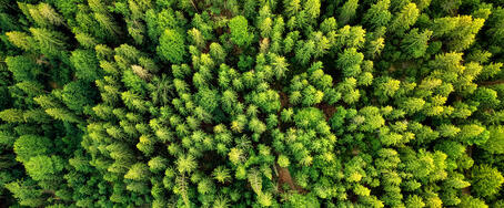 MCG -gel de celulosa microcristalina