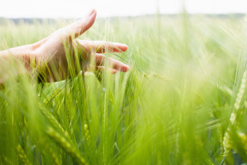 Fibras vegetales JRS