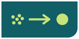Formación de la estructura