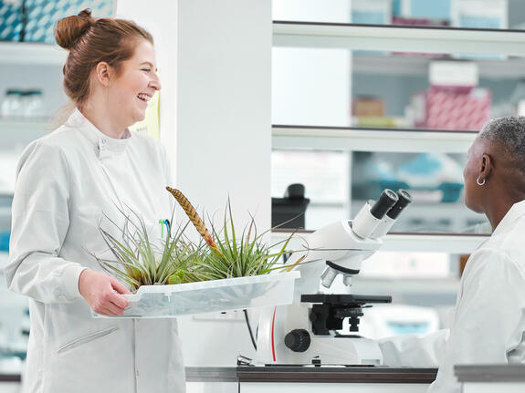 Aprender de la naturaleza y transferir conocimientos.