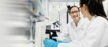 Competencias básicas