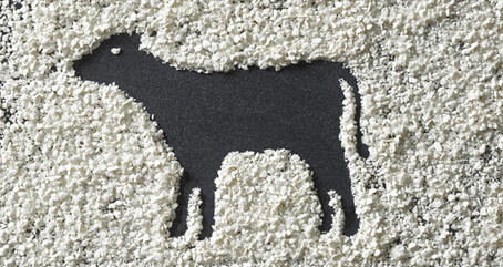 VITACEL® Aplicación y Dosificación Recomendada