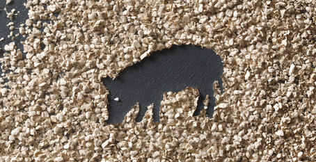 VITACEL® Aplicación y Dosificación Recomendada