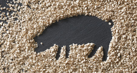 VITACEL® Aplicación y Dosificación Recomendada