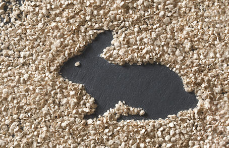 VITACEL® Aplicación y Dosificación Recomendada