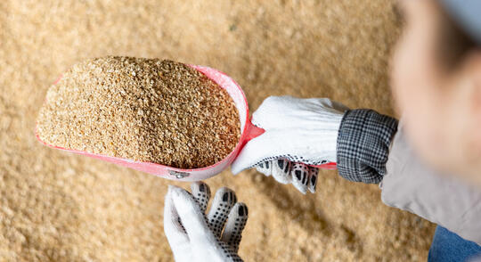 JRS - Su socio fuerte