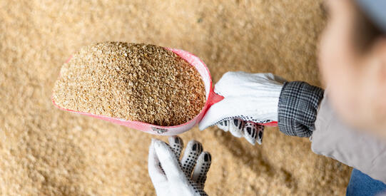 JRS - Necesidades específicas de su socio fuerte.