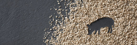 ARBOCEL® para los lechones