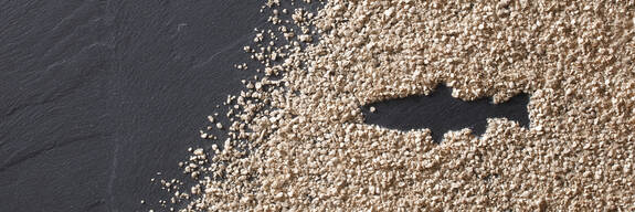 ARBOCEL® para la piscicultura