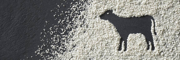 VITACEL® para terneros