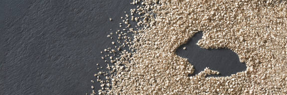 ARBOCEL® para conejos