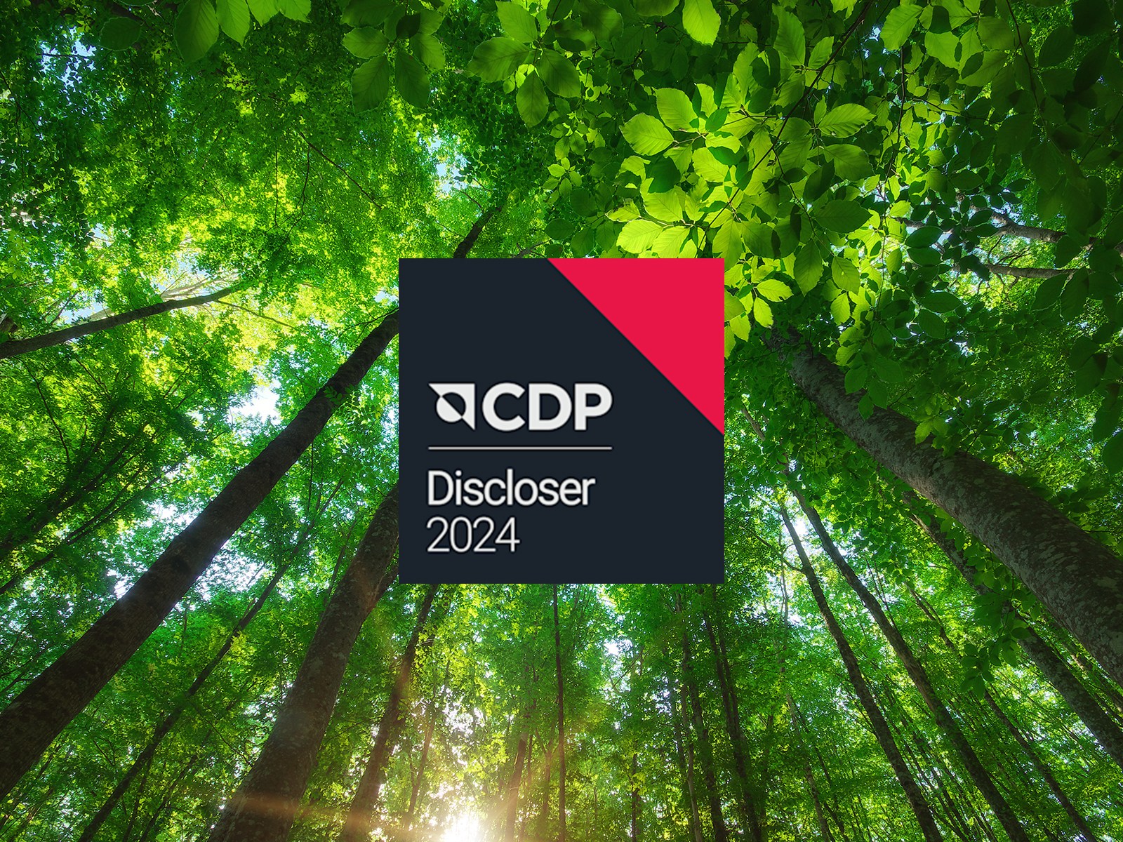 El JRS completa la calificación de sostenibilidad del CDP