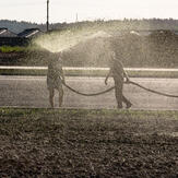 Irrigación por aspersión