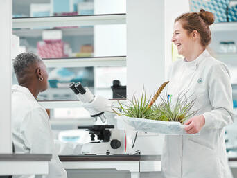 Mejora de las propiedades de la pulverización con JRS VIVAPUR