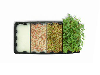 Ventajas de producción con ARBOCEL® FT 400