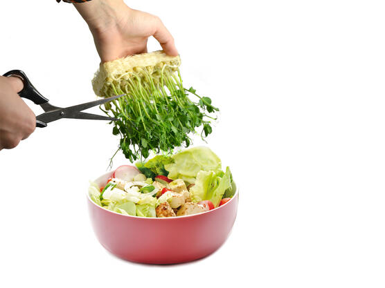 Crujiente, fresco e higiénico