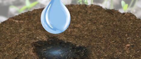 El sistema listo para usar para todo tipo de microgreens