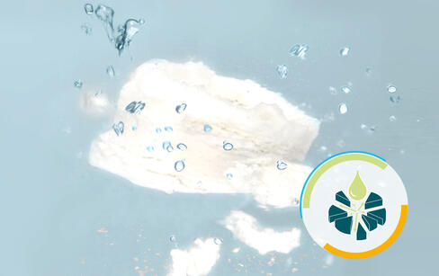 Auxiliares de desintegración / descomposición