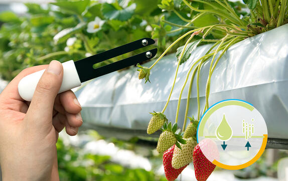 Secado, control de la humedad