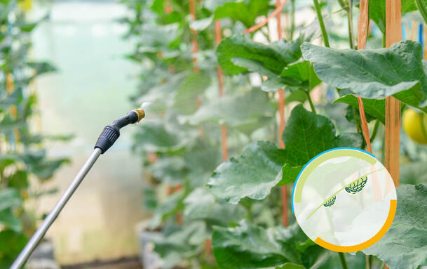 Control reológico de productos líquidos