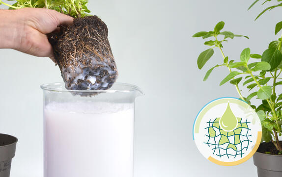 Almacenamiento de agua