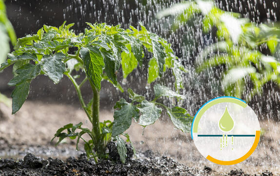 Humectante orgánico para sustratos que contienen turba