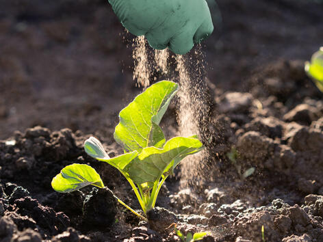 Capacidad de dosificación perfecta con JRS ARBOCEL