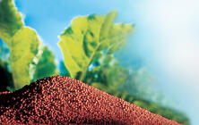 Granulación de semillas