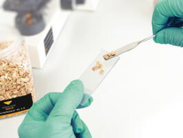 Seguridad alimentaria certificada