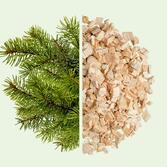 Spruce