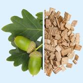 Oak