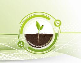 Cultivo de plantas