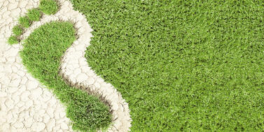 Inyección de verdeo